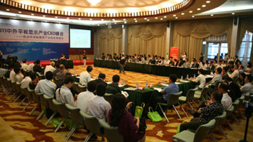 2011中外平板显示产业CEO峰会圆桌峰会召开