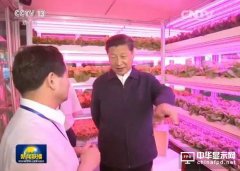 习大大为何频频关注中国LED照明发展?