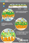 OLED显示屏原理图