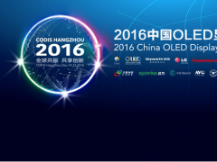 中国□杭州  OLED产业“G20”峰会即将拉开帷幕