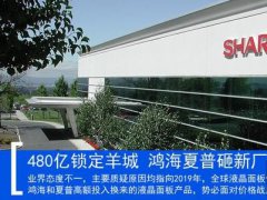 480亿锁定羊城 鸿海夏普砸新厂太冒险？