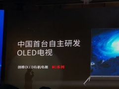 工信部杨旭东：自主研发OLED电视的发布意义非凡
