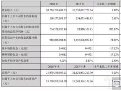 天马2016年净利润2.54亿元 同比增长超7倍