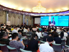 汇聚显示行业智慧 2017中国（国际）平板显示产业大会成功举行