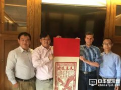 广东佛山或有望吸引OLED生产设备落户