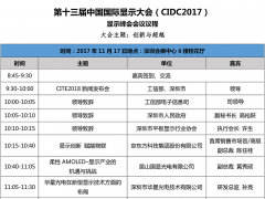 第十三届中国国际显示大会议程火热出炉