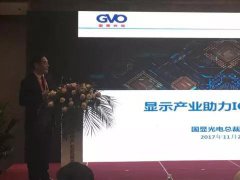 陈钢博士：显示产业助力集成电路产业发展