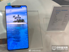 大陆面板厂商京东方6.18英寸 2K分辨率OLED刘海屏现身