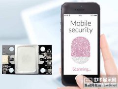 虹膜识别冷板凳观赛 指纹/脸部识别大对决
