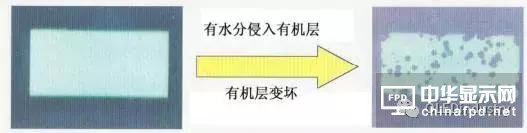 从OLED器件工艺、材料到屏幕设计及试验线设备采购