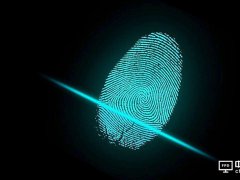 全面屏拯救手机市场寒潮 厂商又开始争抢屏下指纹