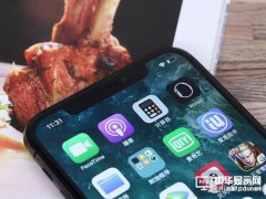 廉价iPhoneX消息曝光：苹果看好日本LCD屏