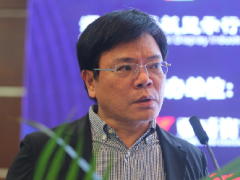 敦泰电子贡振邦：顺应柔性OLED发展，提前布局卷曲OLED触控IC