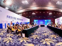第十五届中国国际显示大会圆桌高峰论坛与您畅谈15年显示行业的风雨征程