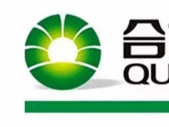 斥资65亿 合力泰拟建年产60万张准6代a-Si TFT LCD面板项目